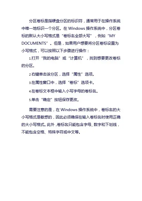 分区卷标小写