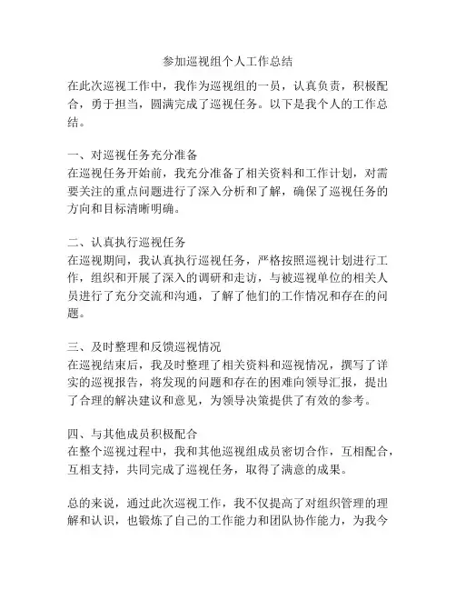 参加巡视组个人工作总结