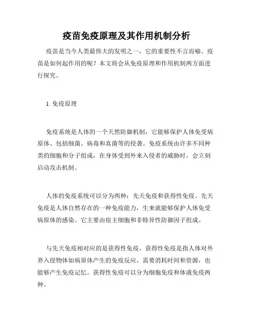 疫苗免疫原理及其作用机制分析