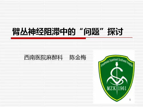 臂丛神经阻滞PPT课件