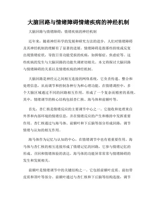 大脑回路与情绪障碍情绪疾病的神经机制