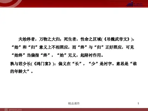 【精品课件】2020(新增4页)课标高考总复习·语文 专题10 第1节 文言文阅读_101-104