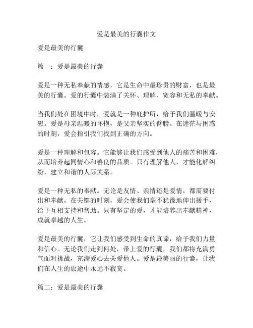 爱是最美的行囊作文