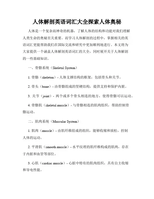 人体解剖英语词汇大全探索人体奥秘