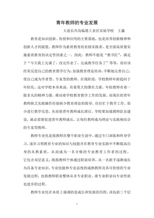 青年教师的专业发展