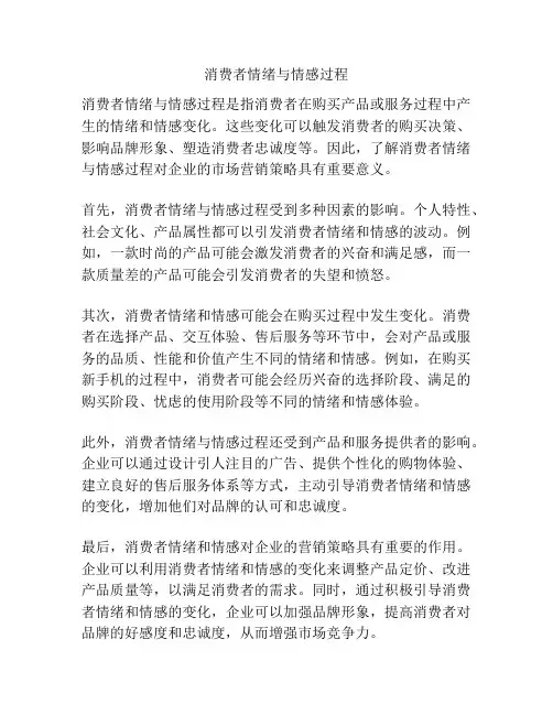 消费者情绪与情感过程