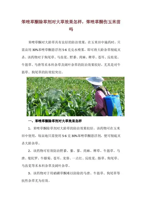 笨唑草酮除草剂对大草效果怎样,笨唑草酮伤玉米苗吗
