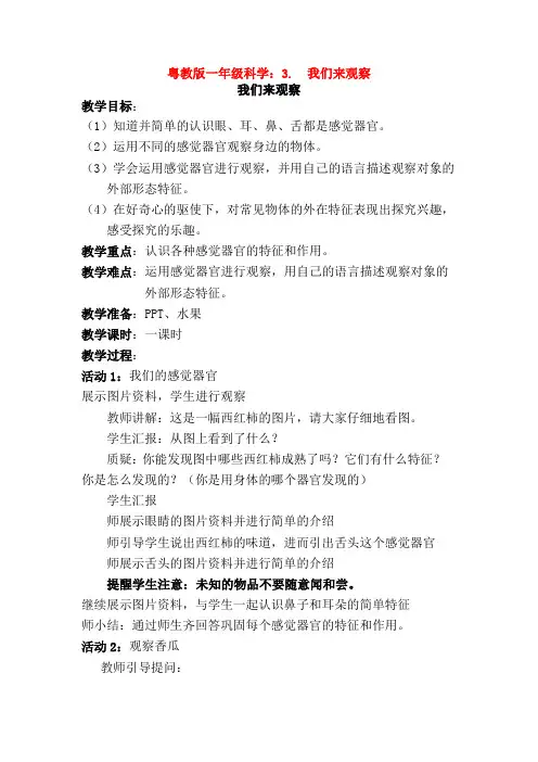 粤教版一年级科学：3.  我们来观察