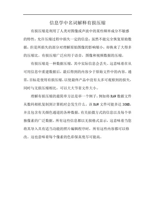 信息学中名词解释有损压缩