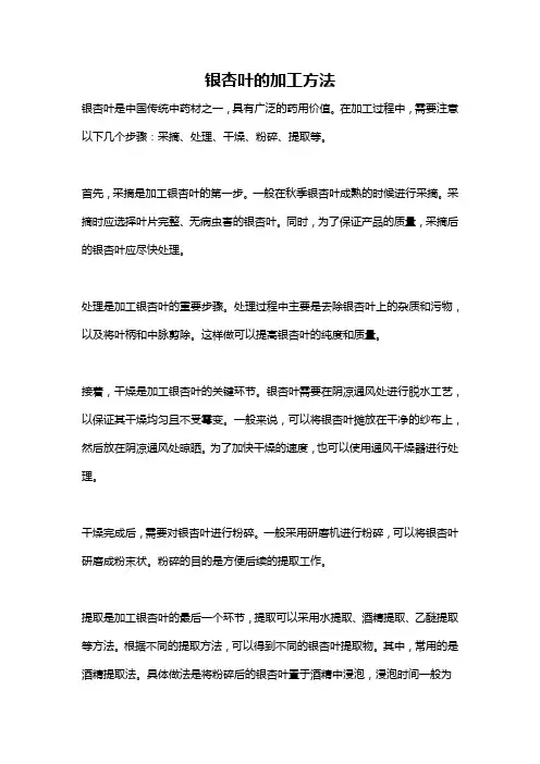 银杏叶的加工方法