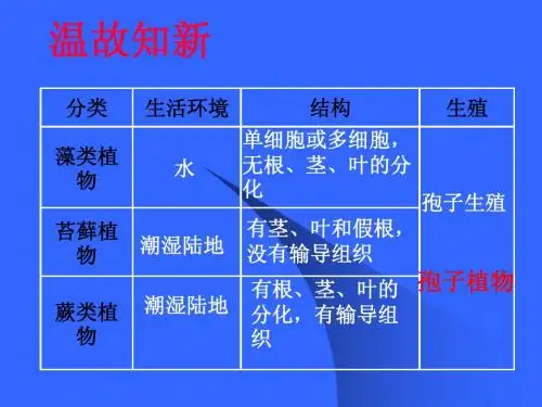 初一生物《种子植物》PPT课件