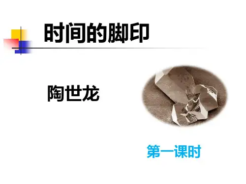 时间的脚印课件(实用)