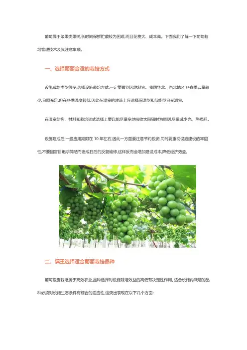 设施葡萄栽培管理要点