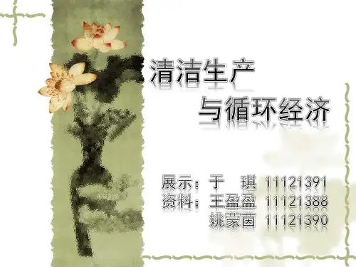 清洁生产与循环经济