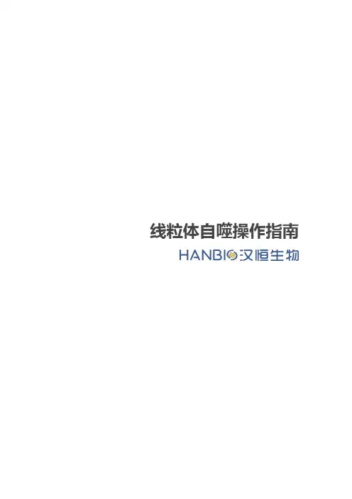 线粒体自噬操作指南