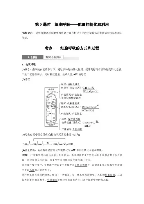 苏教版2024年高考一轮复习生物《第三单元 第5课时 细胞呼吸——能量的转化和利用》复习讲义