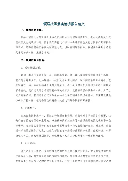 领导批示落实情况报告范文