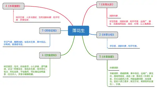 落花生_思维导图_中药学_药材来源详解