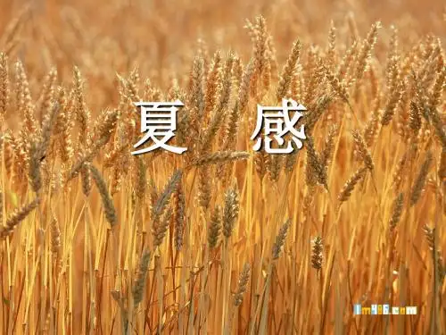 初中语文《夏感》(共29张)ppt6