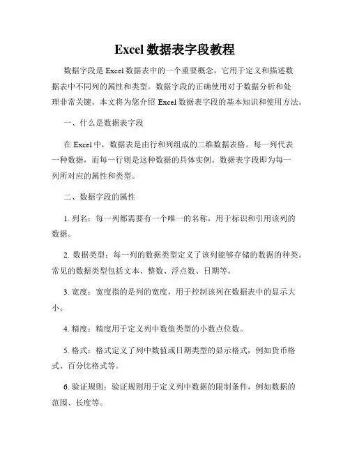 Excel数据表字段教程