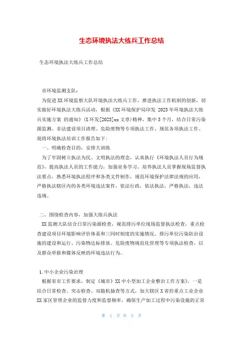 生态环境执法大练兵工作总结