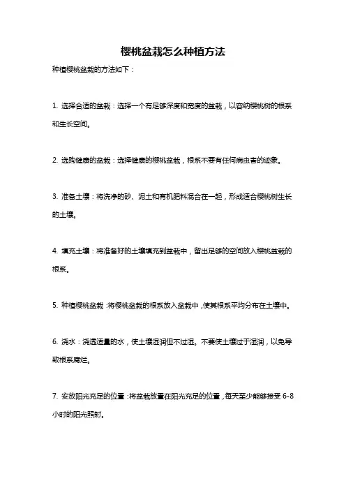 樱桃盆栽怎么种植方法