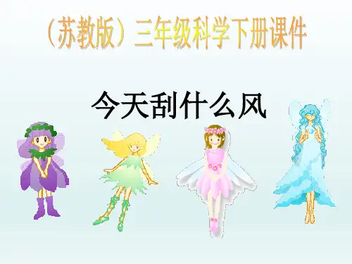 苏教版小学科学三年级下-《今天刮什么风》课件