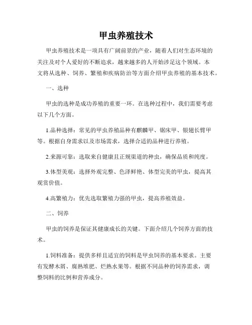 甲虫养殖技术