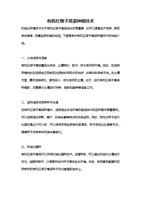 有机红缨子高粱种植技术
