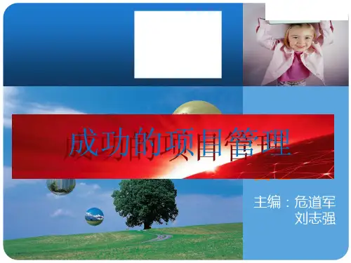 成功的项目管理
