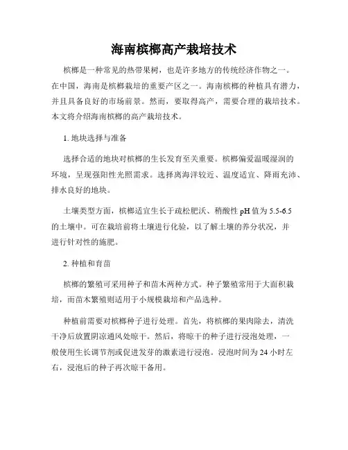海南槟榔高产栽培技术