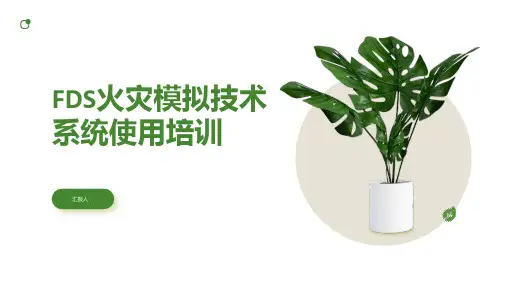 FDS火灾模拟技术系统使用含动画培训ppt动画课件
