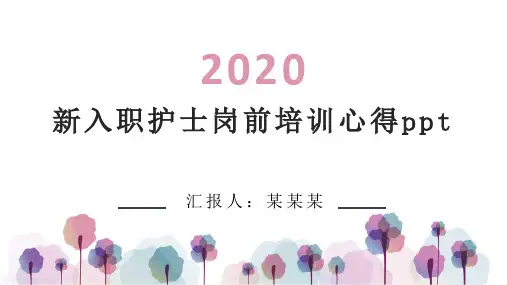 新入职护士岗前培训心得ppt