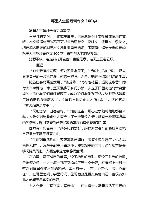 笔墨人生醉丹青作文800字