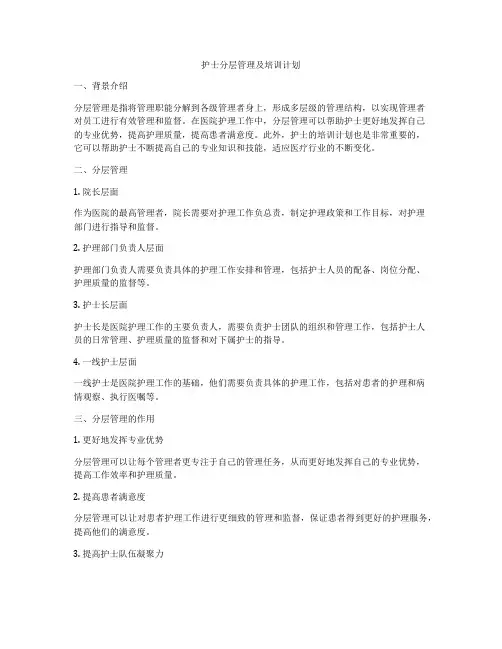 护士分层管理及培训计划