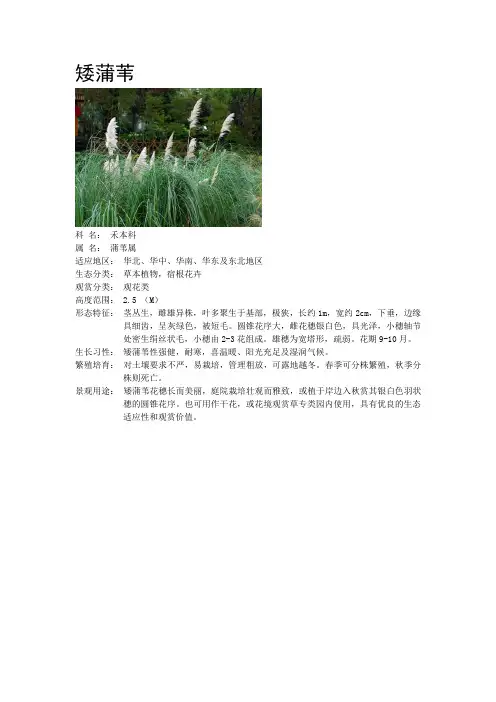 河南可种植物