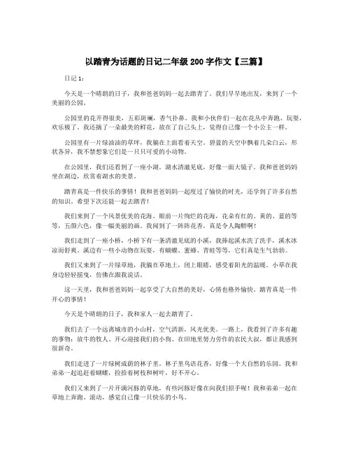 以踏青为话题的日记二年级200字作文【三篇】