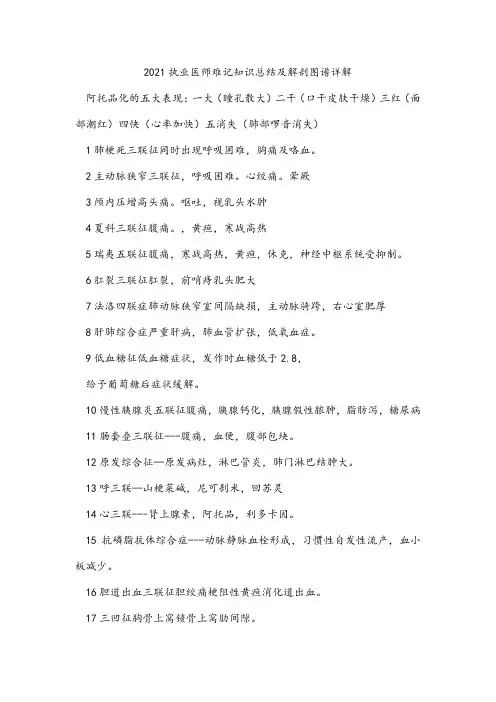 2021执业医师难记知识总结及解剖图谱详解