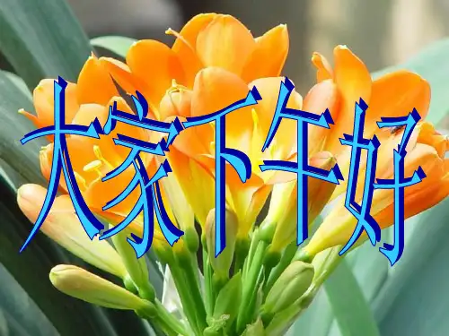 陕旅版六年级毕业班英语复习计划