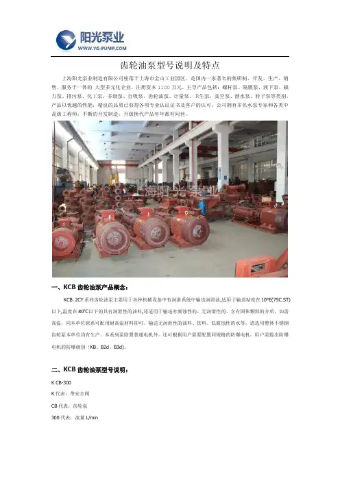 齿轮油泵型号说明及特点