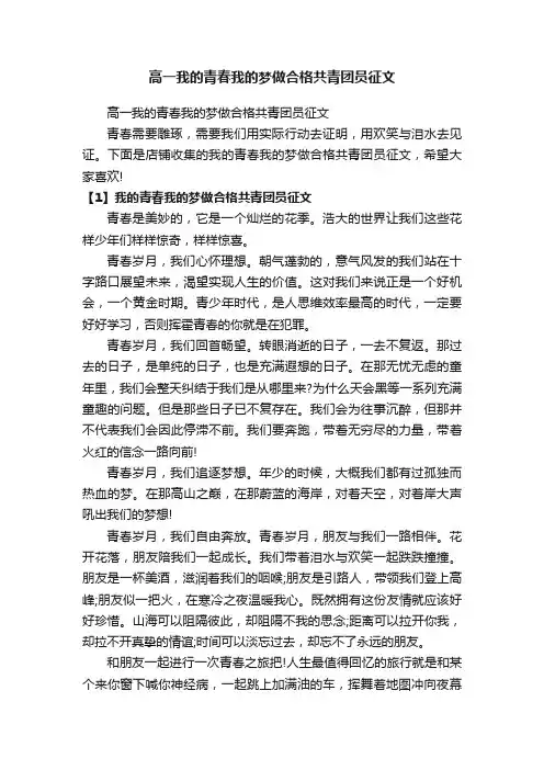 高一我的青春我的梦做合格共青团员征文
