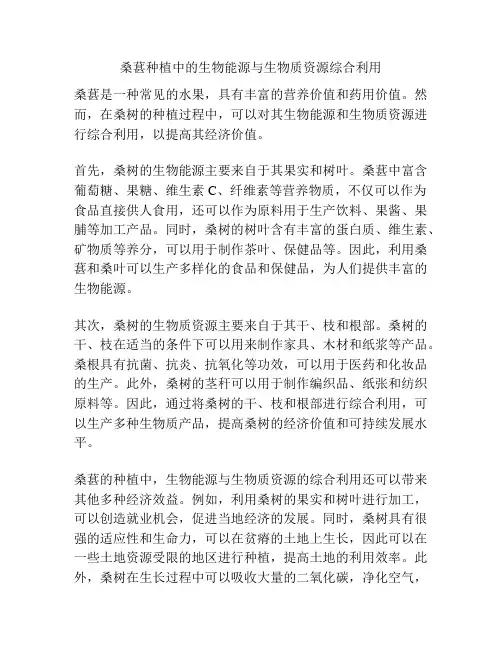 桑葚种植中的生物能源与生物质资源综合利用