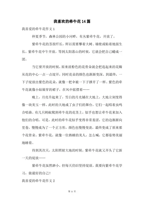 我喜欢的牵牛花14篇