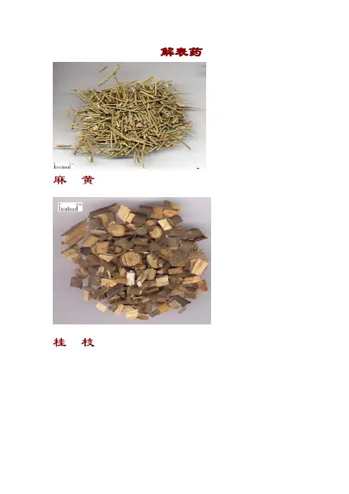216种常用中药饮片彩色图谱