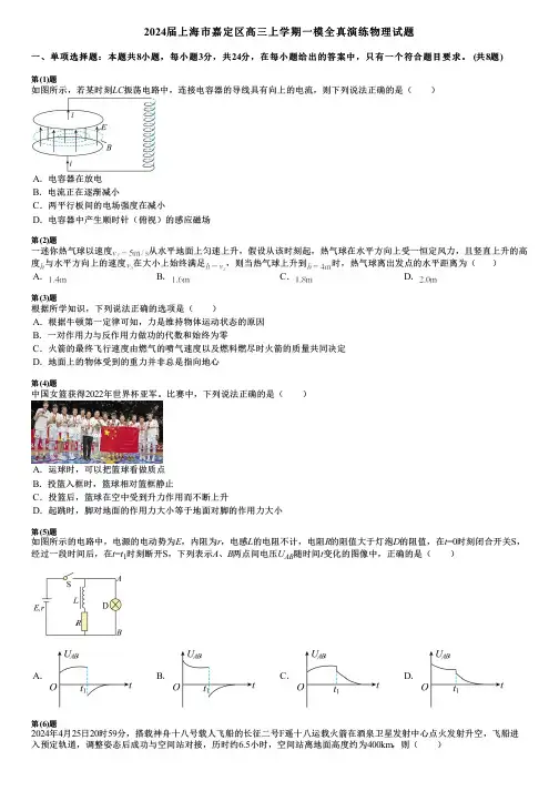 2024届上海市嘉定区高三上学期一模全真演练物理试题