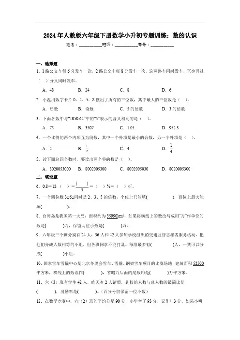 2024年人教版六年级下册数学小升初专题训练：数的认识(含解析)