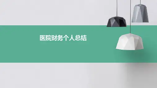 医院财务个人总结PPT
