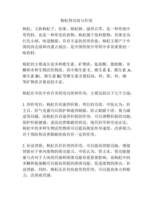 枸杞得功效与作用
