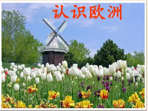 七年级地理下册课件-活动课 认识欧洲4-商务星球版