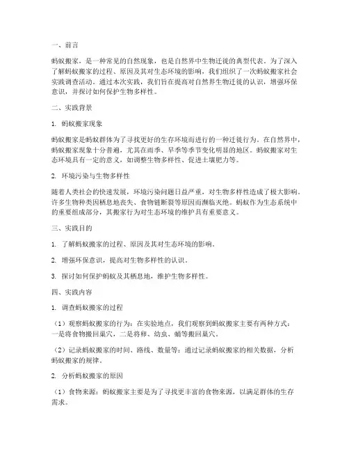蚂蚁搬家社会实践报告